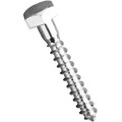 Hex Head (metric)