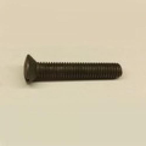 Raised Countersunk Slotted