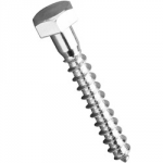 10  x 30     M/S BZP  HEX HD COACHSCREW