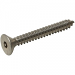 10 x 2     A2 SELF TAPPER  *PIN HEX*    CSK HD