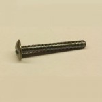 2BA      x 3/4   BLACK M/S SLT MUSHROOM HD SCREW